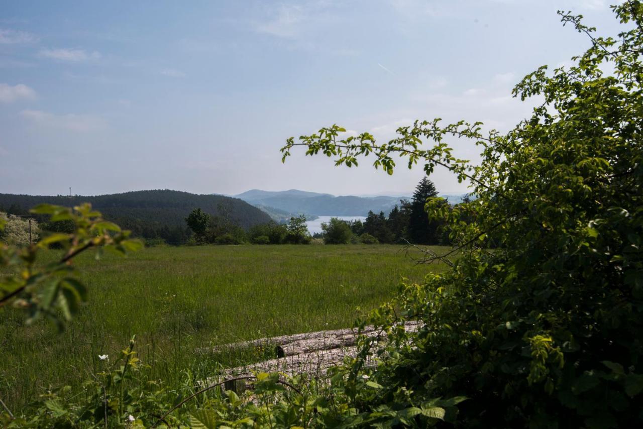 Wellness Bungalov - Vodni Nadrz Slapy - 40Km Od Prahy Necin Exterior foto