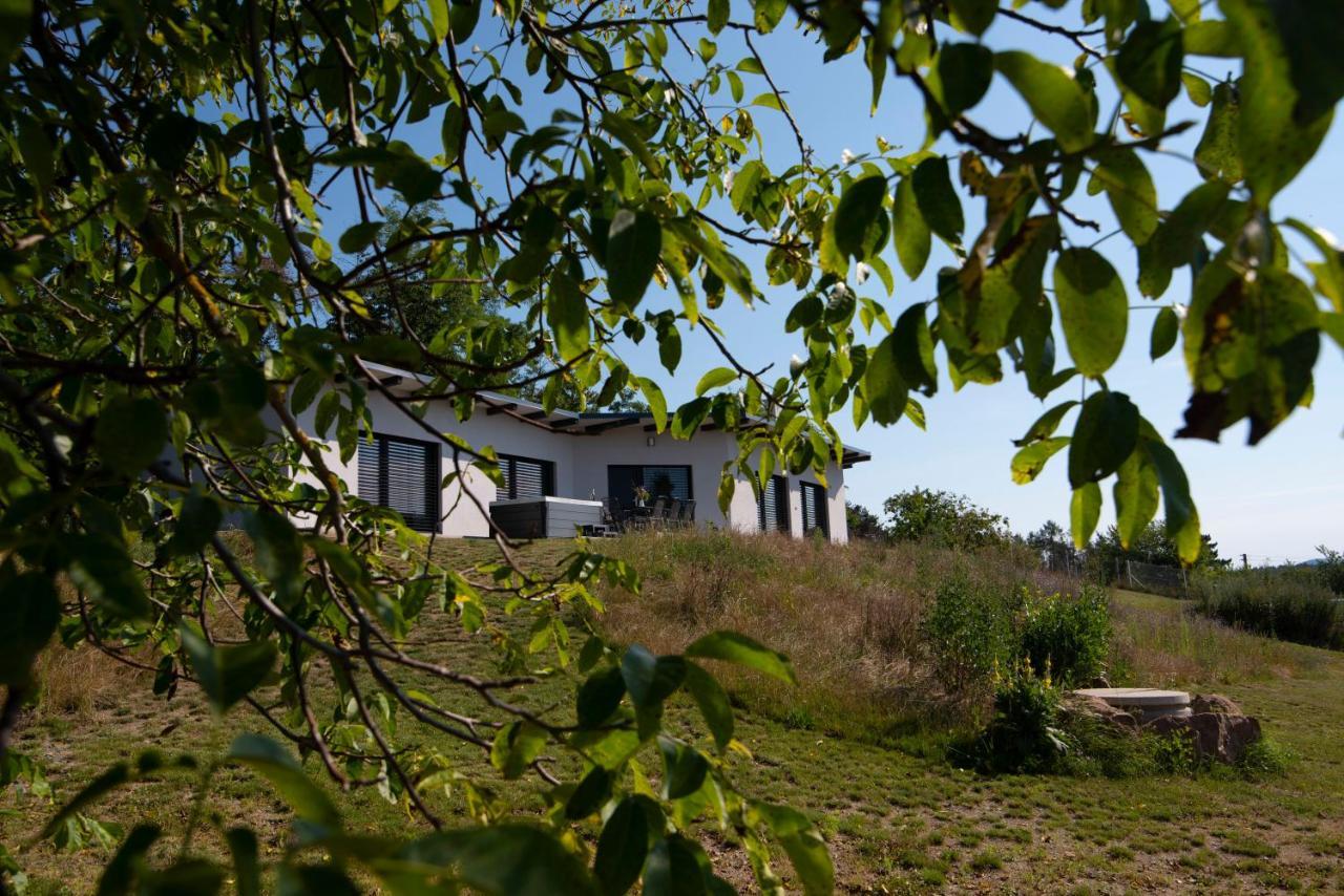 Wellness Bungalov - Vodni Nadrz Slapy - 40Km Od Prahy Necin Exterior foto